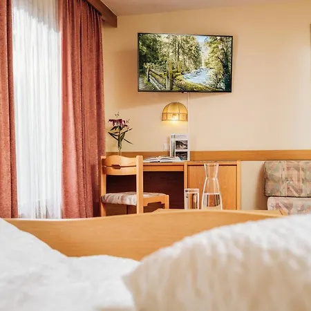 Wiese Hotel