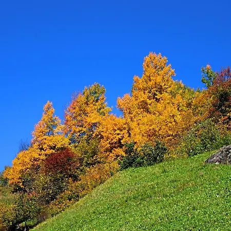 Wiese فندق سانكت ليونارد إم بيتزتال