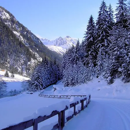 Wiese 3*