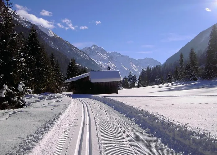Wiese Sankt Leonhard im Pitztal