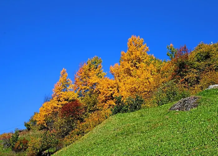 Wiese فندق سانكت ليونارد إم بيتزتال